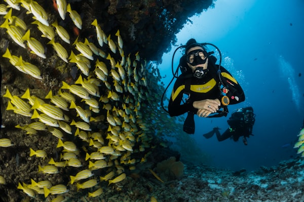 Scuba